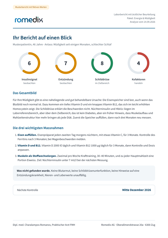 Musterbericht 1